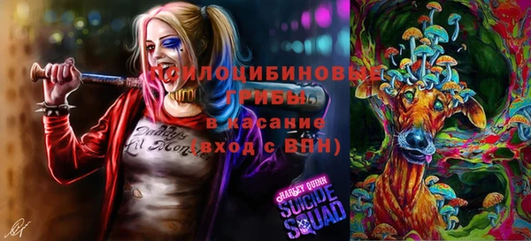 каннабис Алзамай